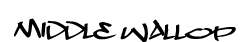 Middle Wallop